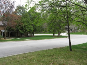 942 Cedarview setting 01